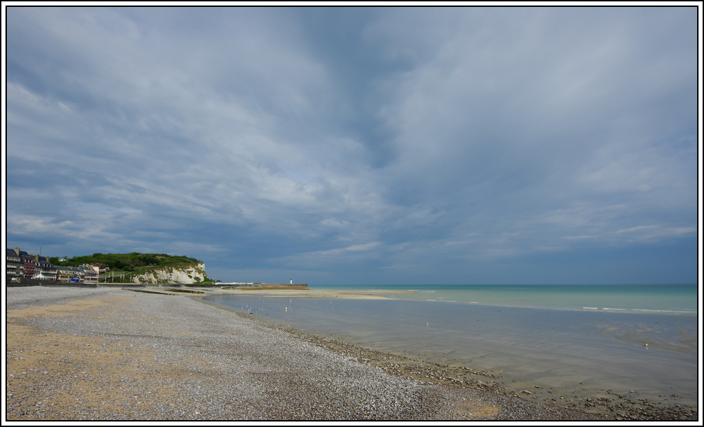 Sortie en Normandie avec des falaises, la mer, les vaches .... - Page 8 K5007831