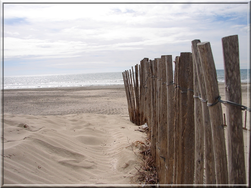 La camargue et la mer DSC08542