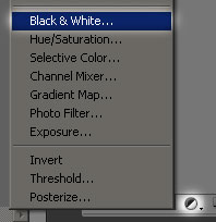 Efect sepia in zonele selectate 6-black-and-white