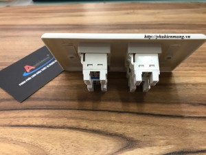 Bộ wallplate 2port AMP/Bộ wallplate 1port AMP giá rẻ Bo-wallplate-4-port-amp-2-300x225