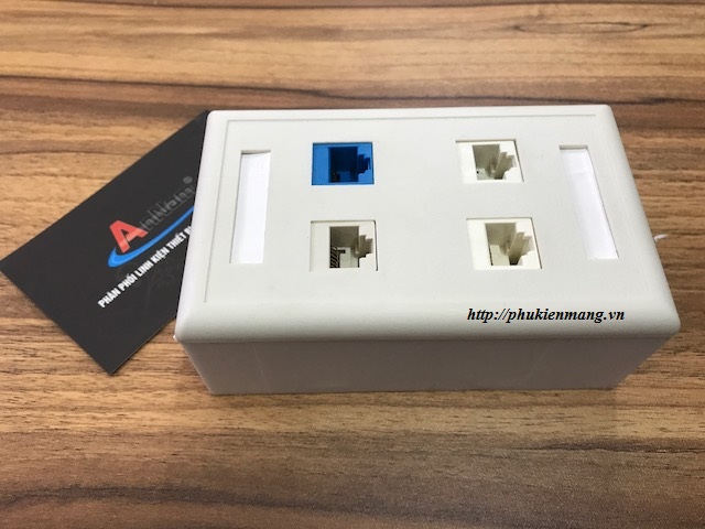 Bộ wallplate 2port AMP/Bộ wallplate 1port AMP giá rẻ Bo-wallplate-4-port-amp-3