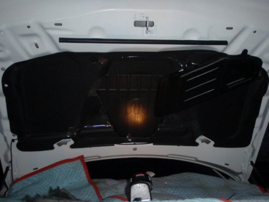 T/A Hood Venting System- Challenger   Install w/ Pic's 395474545