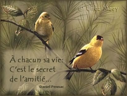 Chaque jour sa citation !! - Page 28 E79j2eve