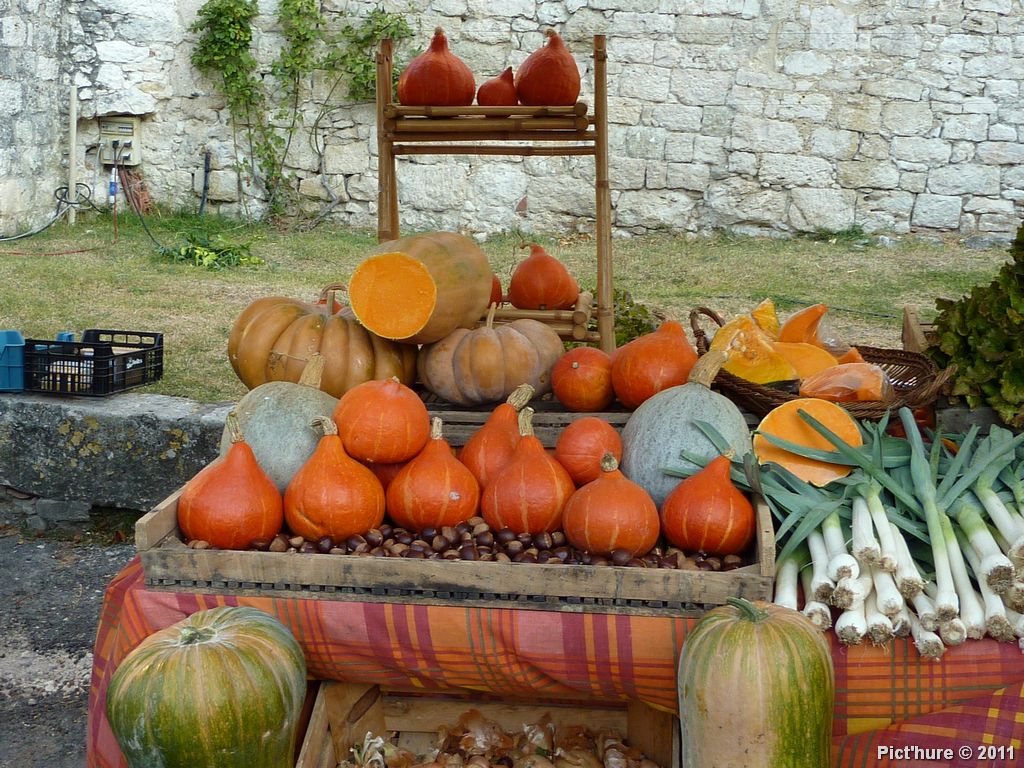 Foire aux potirons P1110148w