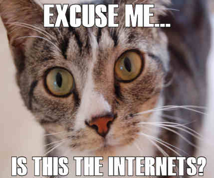 Funny picture and gif thread 20070106internet_cat