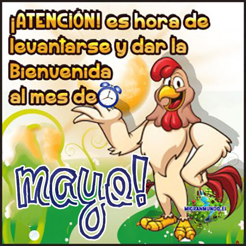 FELIZ DIA AMIGOS - MAYO - Página 2 Mayo-14617397214gkn8