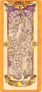 Une école pleine de surprise. [Avec Sakura et Tarot] (Clow Card) - Page 2 Clow52