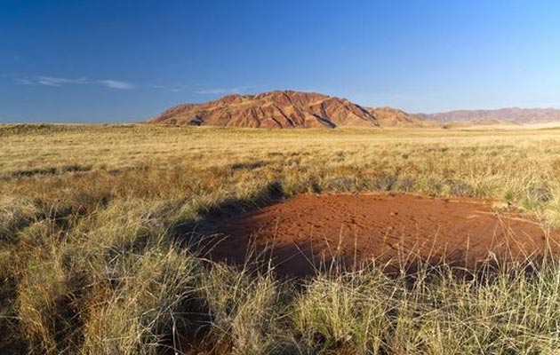 Krugovi u polju...  Krugovi-u-namibiji1