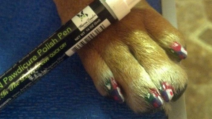  فن الرسم على أظافر الكلاب !!! Dog Nail Art Dog-nail-art-21