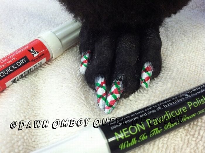  فن الرسم على أظافر الكلاب !!! Dog Nail Art Dog-nail-art-23