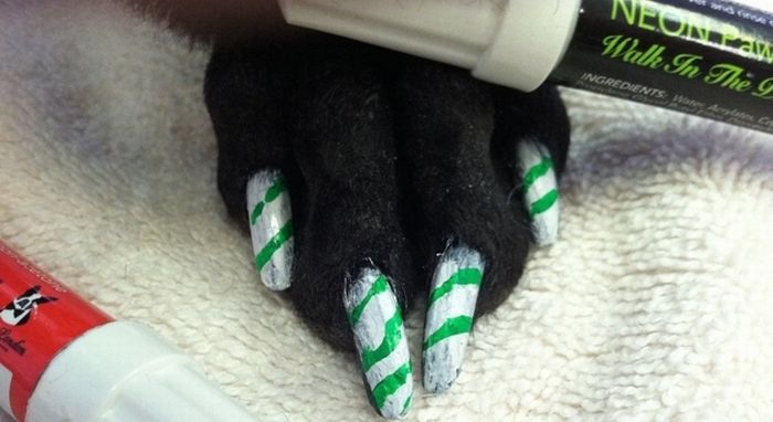  فن الرسم على أظافر الكلاب !!! Dog Nail Art Dog-nail-art-25