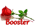 Vote au Booster - Page 3 Deras2_975947719