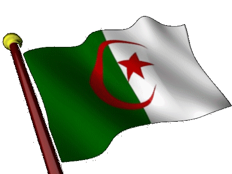 La journée nationale du CHAHID Thumb_drapeau-Sahara-Occidental-etoileb-004