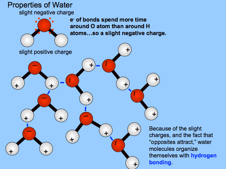 Alkaline water, electrolyte water, charged water  .. for Dummies - Page 2 Watermolecule