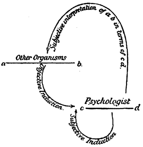 Animal Consciousness Doubleinduction