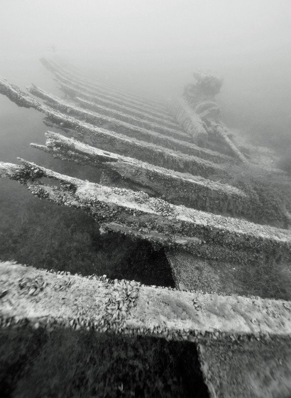 épave de l'Andalouse, Léman _DSC1343web