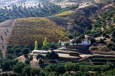 صور من الجزائر والمغرب .. H_2