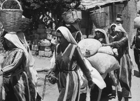 غزة في الخمسينات والستينات 38