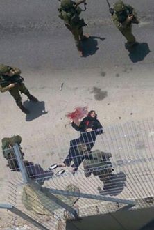 مقتل فتاة فلسطينية بعد اطلاق النار عليها على حاجز عناب في طولكرم 13331124_1179633452113554_5746113998769466441_n-222x330