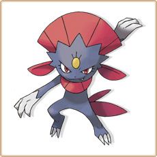 Ficha de Pokemon ; Weavile. 461