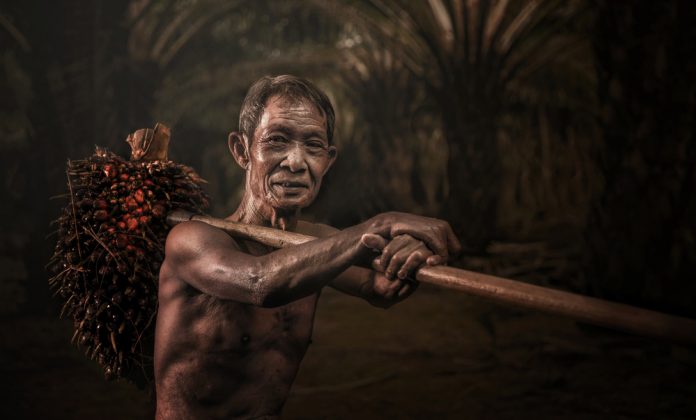 Huile de palme : l'entreprise LU visée par une campagne i-boycott I-boycott-lu-huile-palme-1-696x420