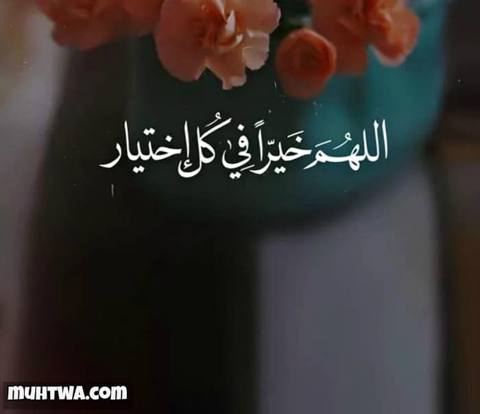 الصور الاسلامية .. - صفحة 63 2063-4