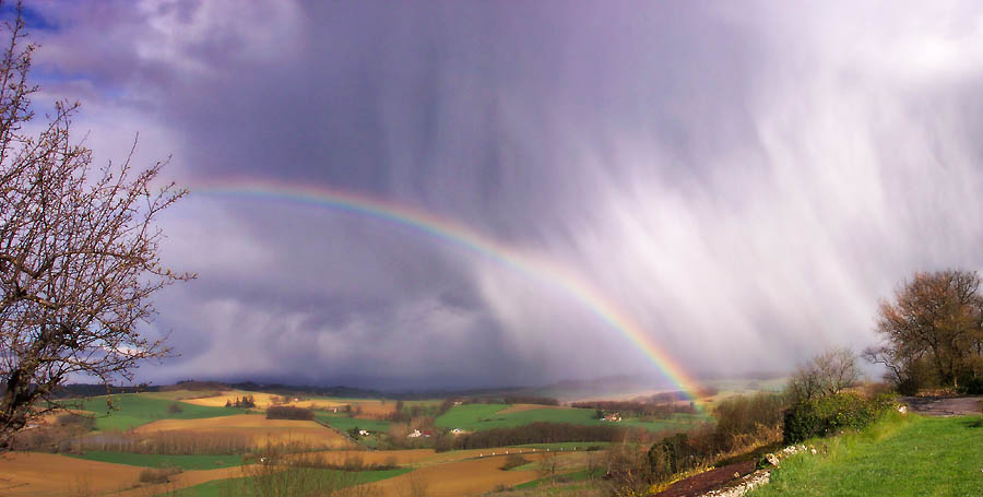 C'est de bon got... - Page 17 Rainbow230304-s