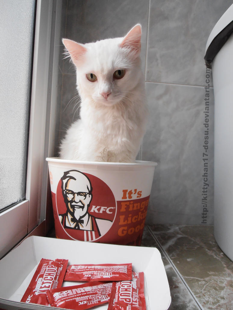 Happy Birthday Posay! ❤ Kfc__kentucky_fried_cat__by_kittychan17_desu-d6idu39