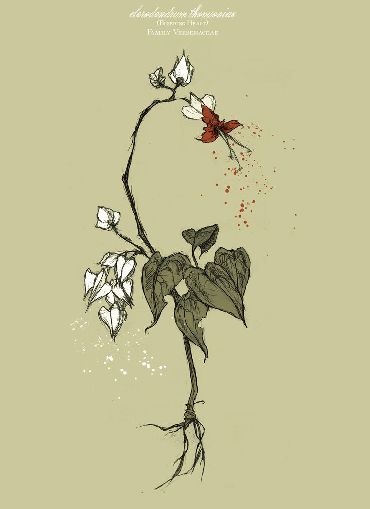 [Missão One-Post] - Elie van Let - Os Mistérios da Floresta I Bleeding_heart_by_mirrorcradle