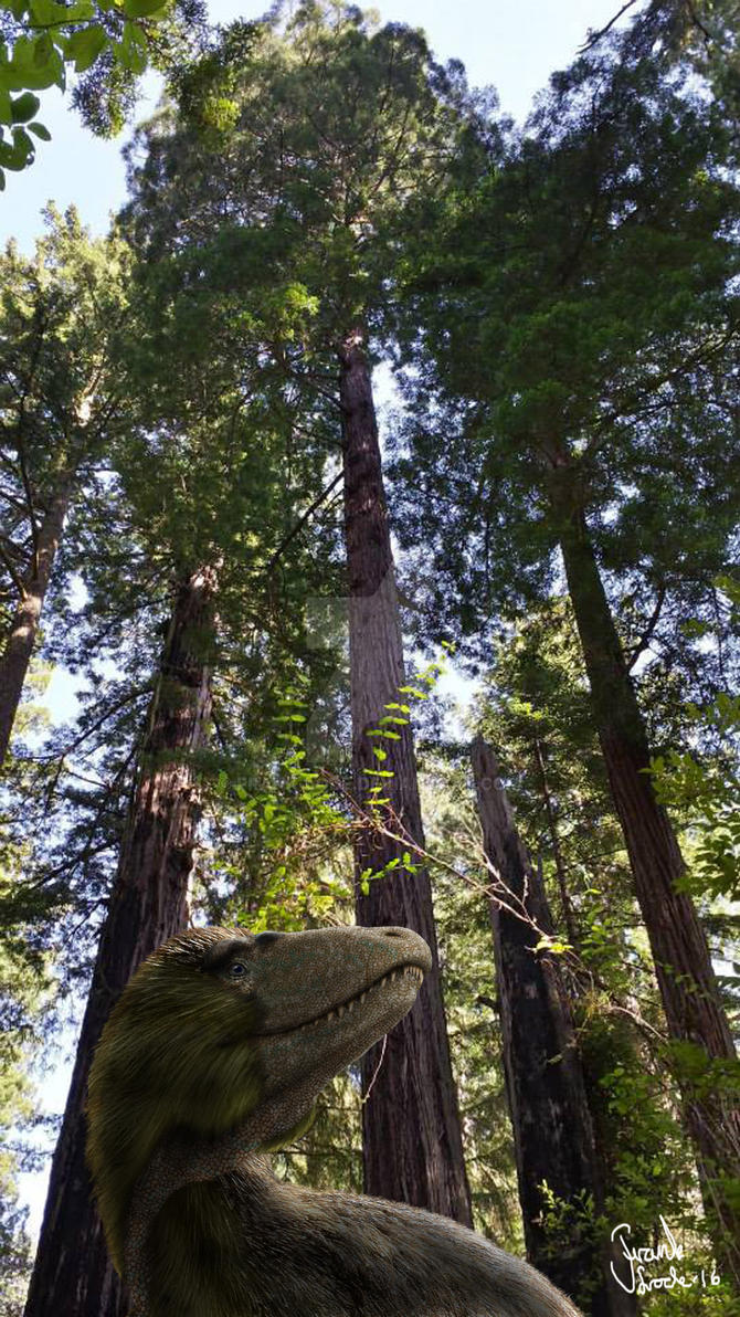 Awesome Paleoart  Juvenile_t_rex_in_the_forest__by_frank_lode-d9wowu2