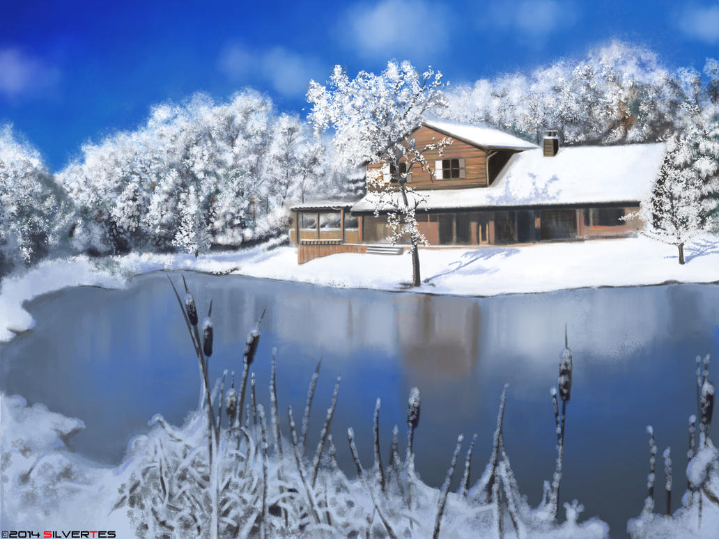 --- SilverTES Gallery --- Snow_bg_by_silvertes-d7exm2r