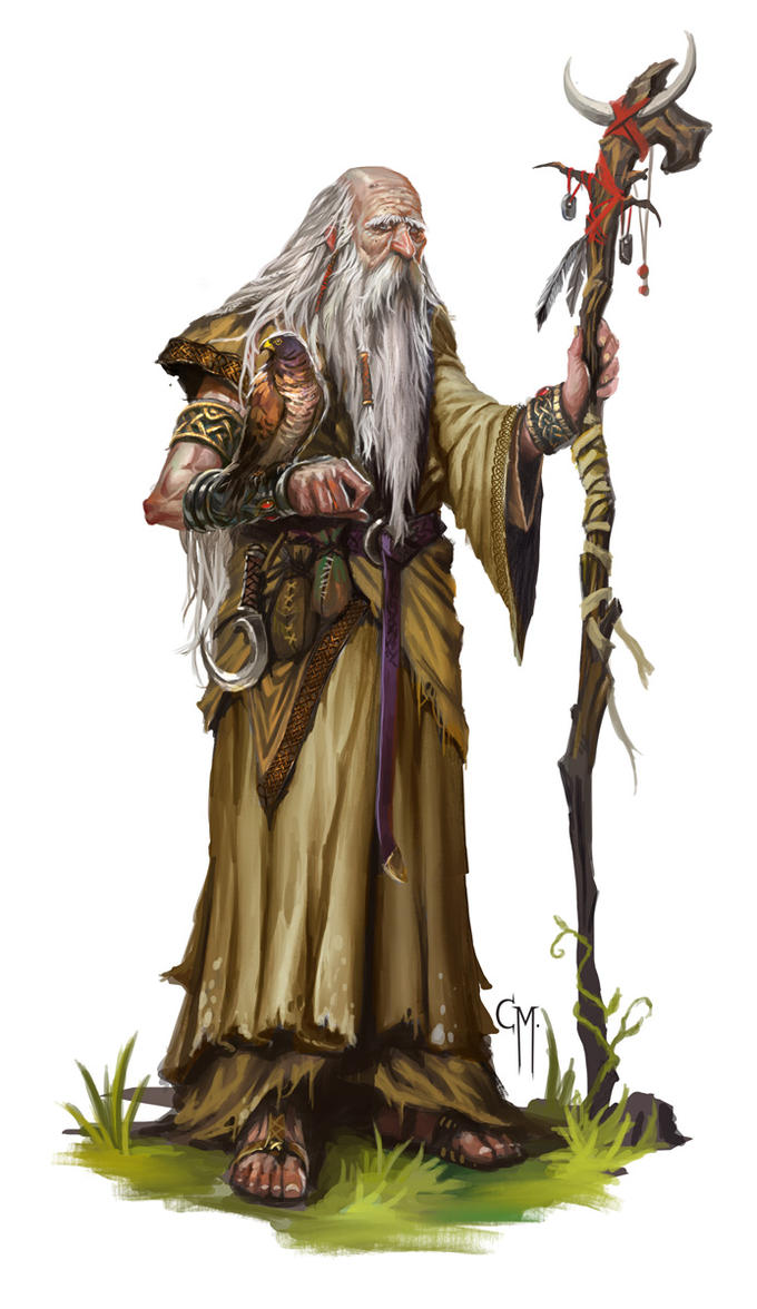 Druida Elder_druid_by_caiomm-d7ar12n