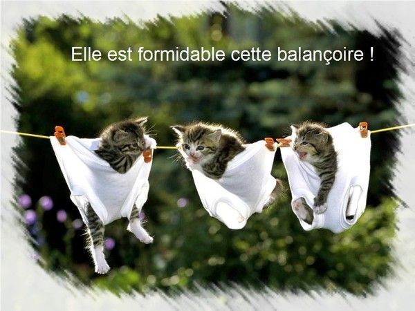 Histoire de chats+ autres..... Ccda5d1b