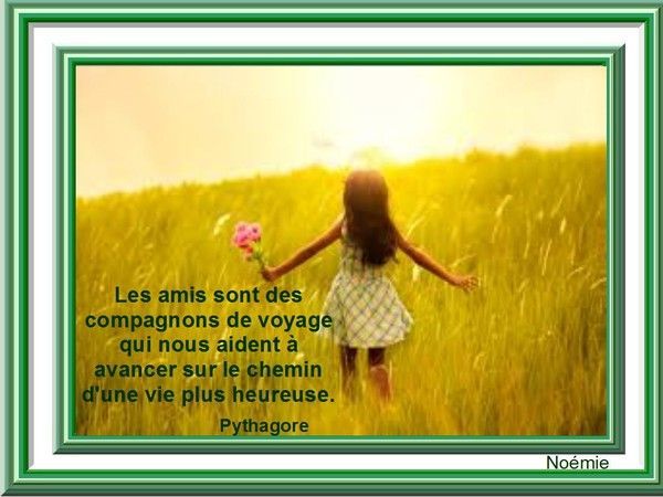 Petites citations diverses Cd515832