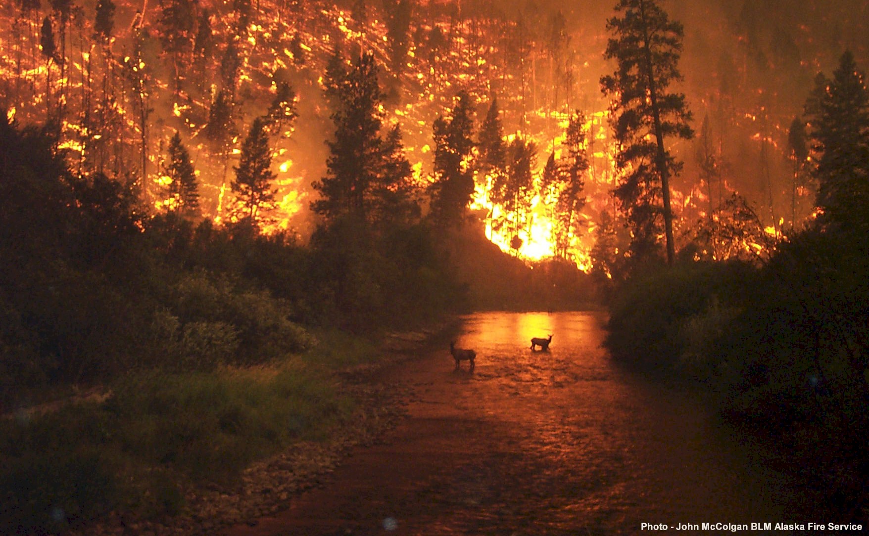 el planeta visto por un extraterrestre Incendios-forestales