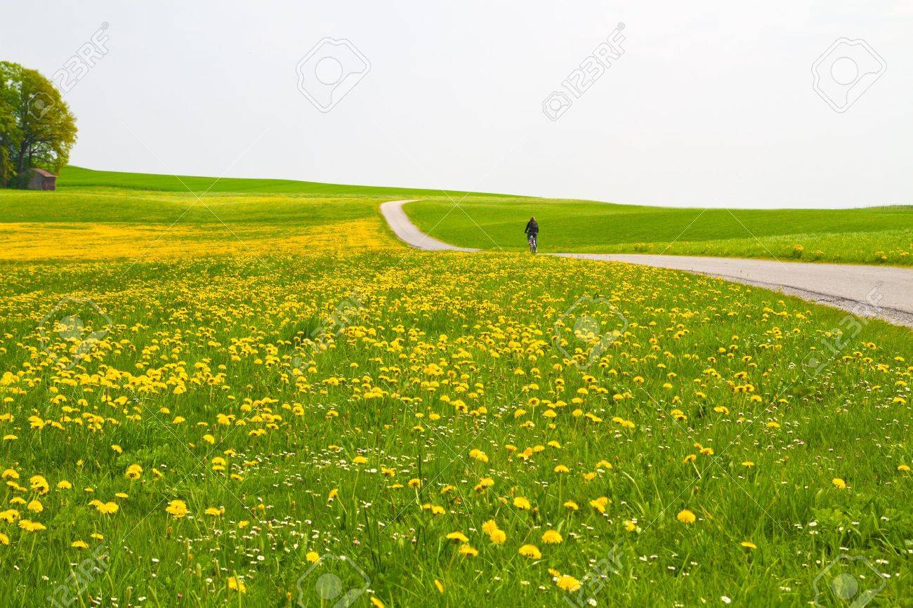 Proljeće - Page 4 10500754-Spring-meadow-with-cyclist-and-country-road-Stock-Photo