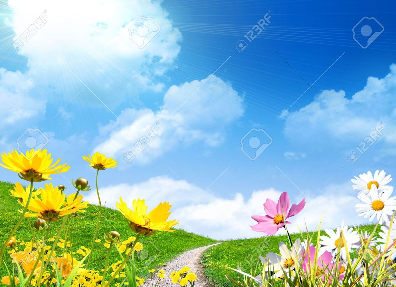 Welcome to Illinca! 4923717-Spring-flowers-and-a-grassy-meadow-Stock-Photo-path-sky-daisy