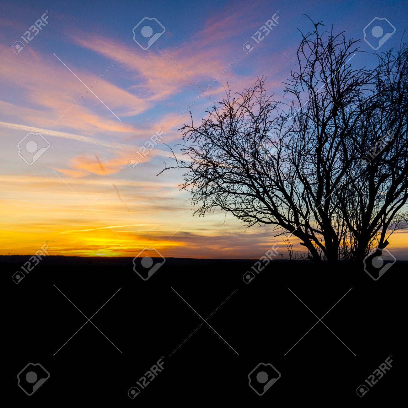 POEMAS SIDERALES ( Sol, Luna, Estrellas, Tierra, Naturaleza, Galaxias...) - Página 18 27079388-La-luz-del-sol-caliente-del-sol-silueta-vieja-naturaleza-puesta-de-sol-de-invierno-naranjo-hora-azul-Foto-de-archivo