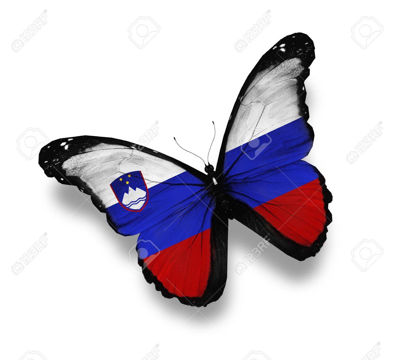 PM´s Prediction Game Season VII | year 2015 - Page 32 12676302-Slovenian-flag-butterfly-isolated-on-white-Stock-Photo