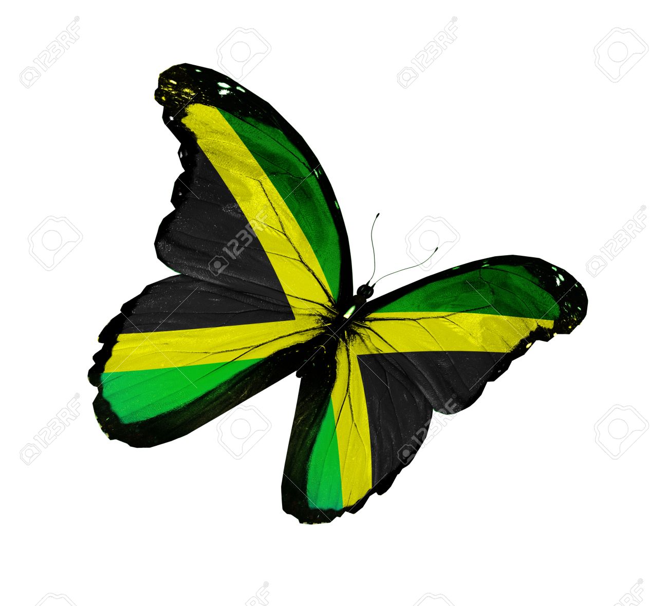 PM´s Prediction Game Season VII | year 2015 - Page 28 14554695-Jamaican-flag-butterfly-flying-isolated-on-white-background-Stock-Photo