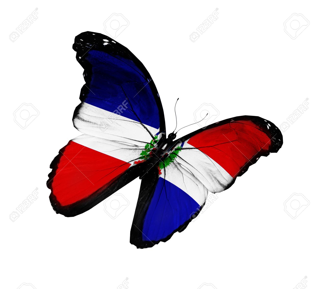 PM´s Prediction Game Season VII | year 2015 - Page 28 14675490-Dominican-Republic-flag-butterfly-flying--Stock-Photo