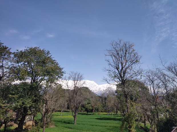 A precious moment with my mother Satya @ Ansoli (Feb. 27, 2019) The-snowy-hiamalayan-dhauladhar-range-view-from-ansoli-march-1-2019-1