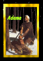 Commandeur Adama
