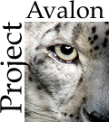 Ante la duda cuentaselo a todo el mundo Avalon_snowleopard_logo_L_sm