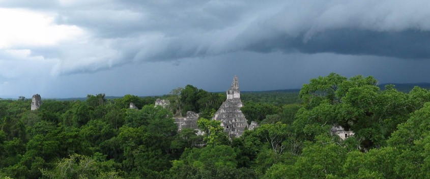 Erdők Panoramica_tikal_crp%2050