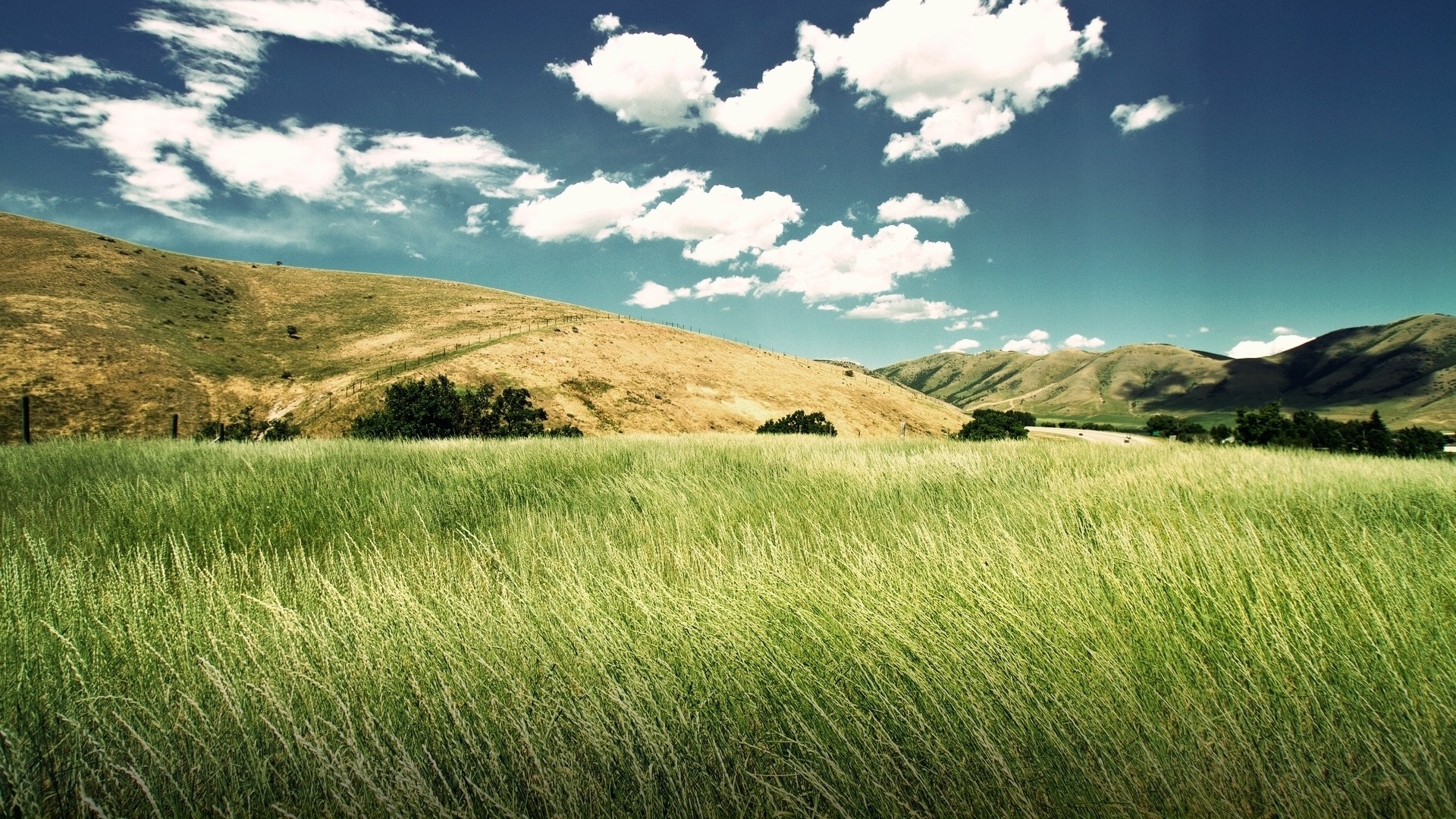 Proyecto Amon: Libertad [Cerrado] - Página 7 Paisajes_verdes04