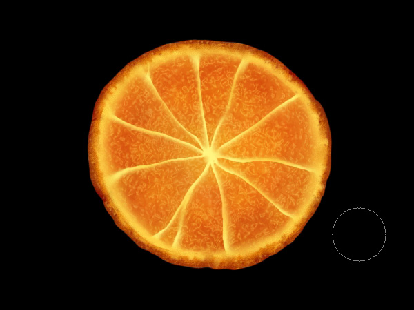 Create a Citrus Fruit Design From Scratch in Photoshop 16