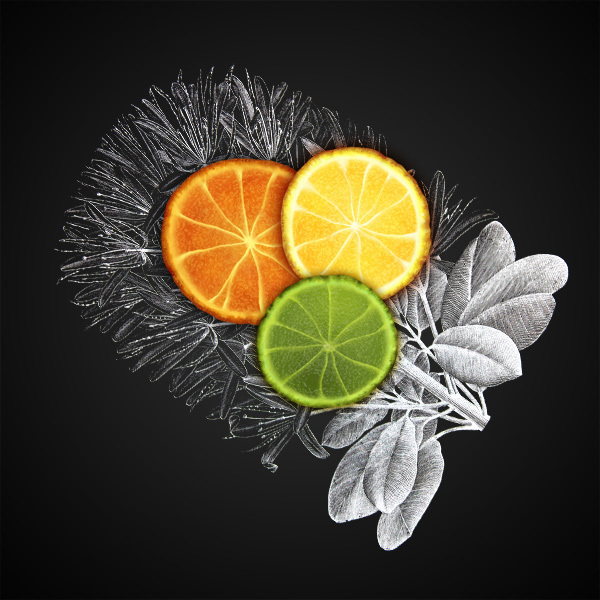 Create a Citrus Fruit Design From Scratch in Photoshop 18