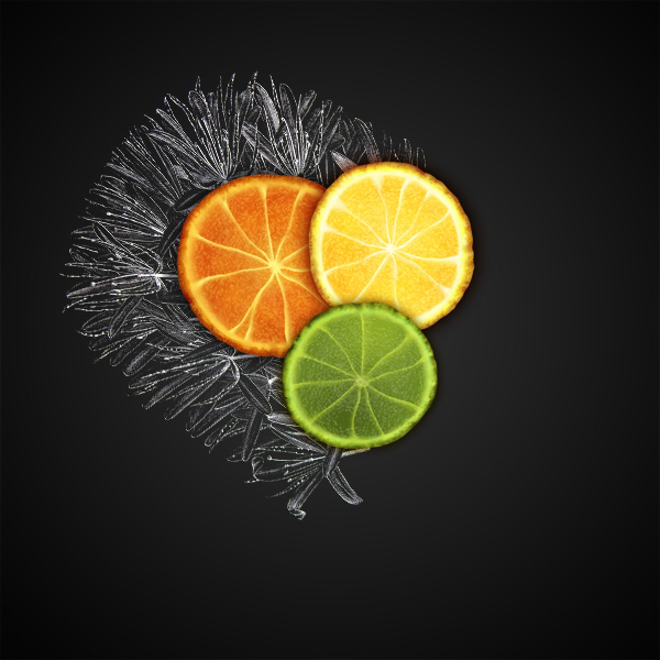 Create a Citrus Fruit Design From Scratch in Photoshop 19