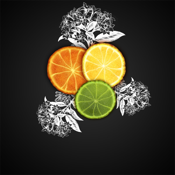 Create a Citrus Fruit Design From Scratch in Photoshop 21